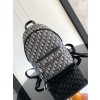 디올 백팩